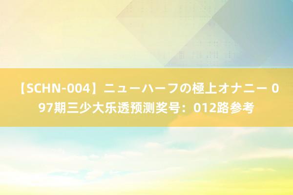 【SCHN-004】ニューハーフの極上オナニー 097期三少大乐透预测奖号：012路参考