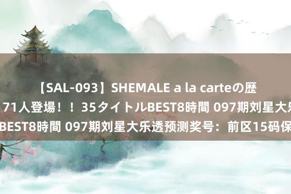 【SAL-093】SHEMALE a la carteの歴史 2008～2011 国内作品171人登場！！35タイトルBEST8時間 097期刘星大乐透预测奖号：前区15码保举